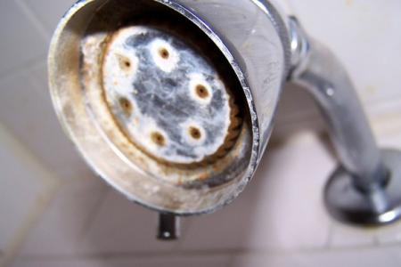 Water Softener system installed in Dorset will remove hard water issues